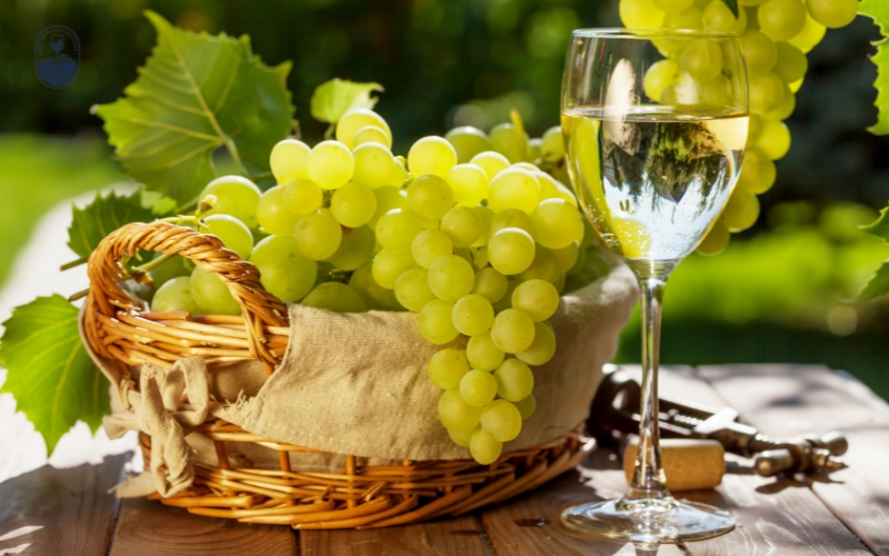 Những giống nho tiêu biểu làm nên bản sắc vang trắng&nbsp;