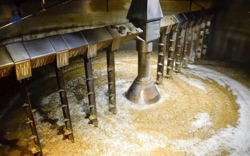 Các bước chính trong công nghệ sản xuất whisky