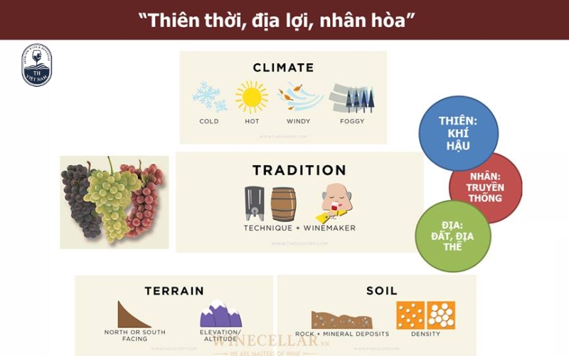 Terroir – yếu tố cốt lõi tạo nên sự khác biệt