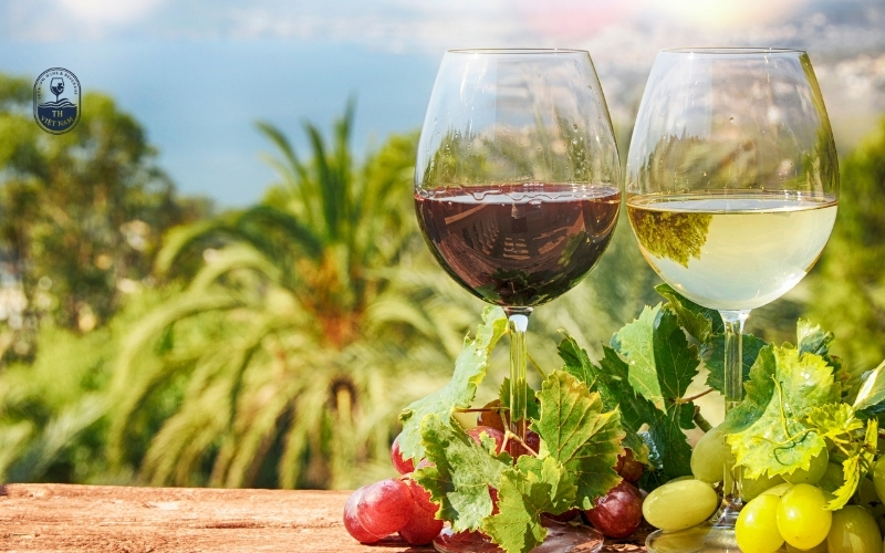 Tại sao một chút ánh nắng cũng đủ làm hỏng rượu vang?