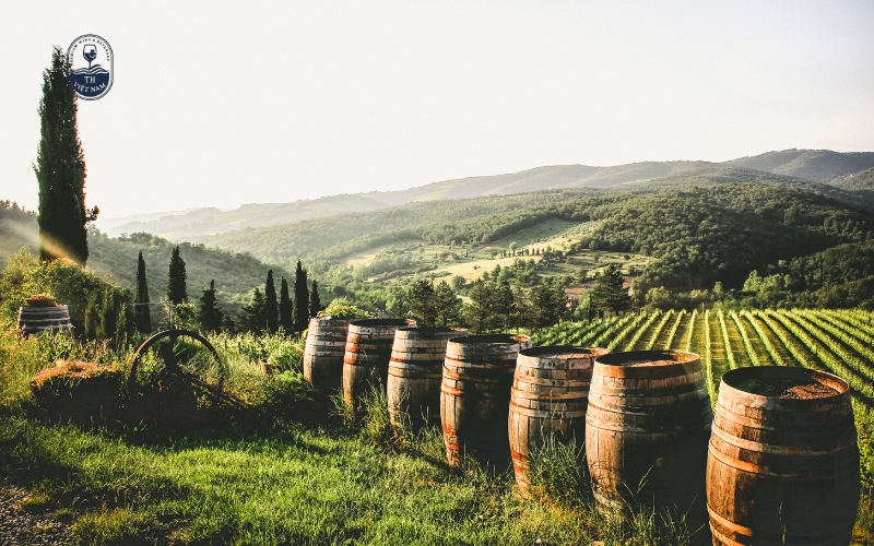 Điều kiện tự nhiên và phong cách hương vị