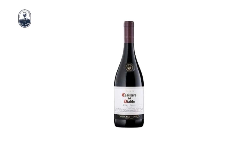 Top 10 chai rượu vang Chile được ưa chuộng nhất