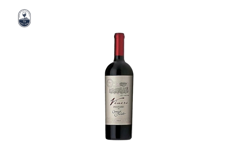 Top 12 chai rượu vang Chile làm quà biếu Tết được ưa chuộng