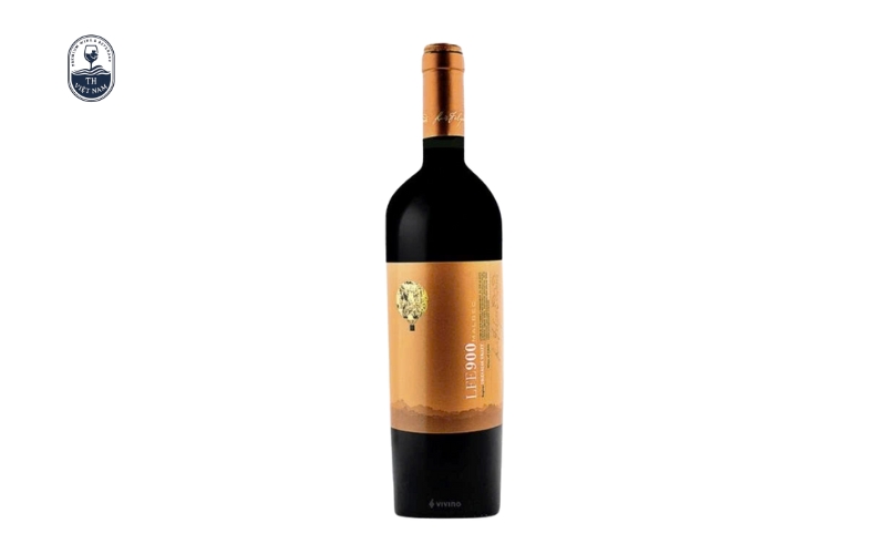 Top 12 chai rượu vang Chile làm quà biếu Tết được ưa chuộng