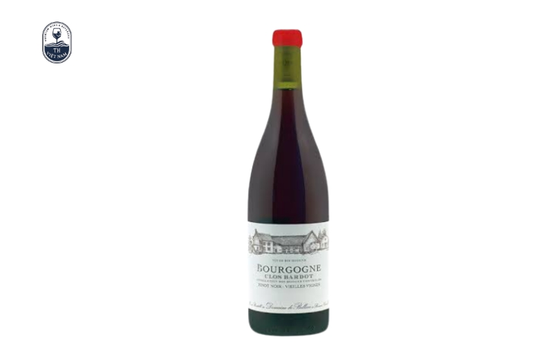 Top 10+ chai rượu vang Pinot Noir đáng thử nhất