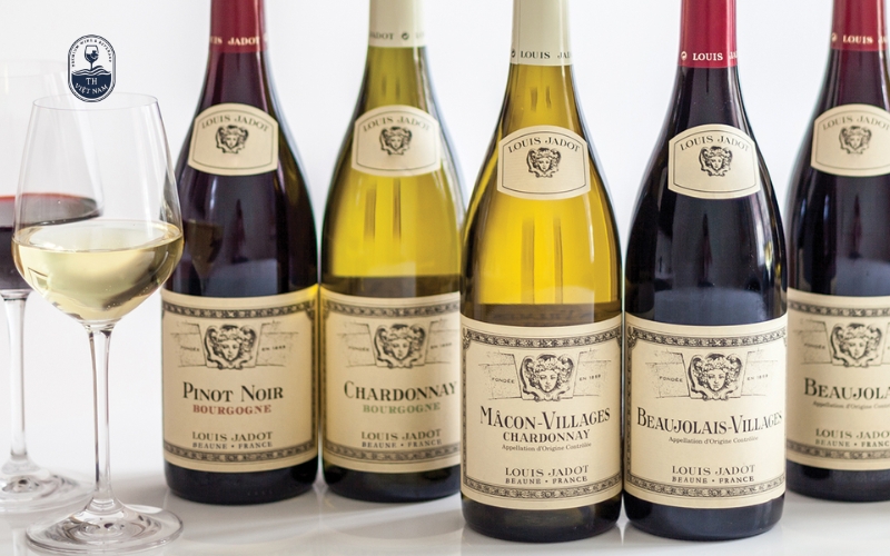 Louis Jadot – Đại diện tiêu biểu của Burgundy