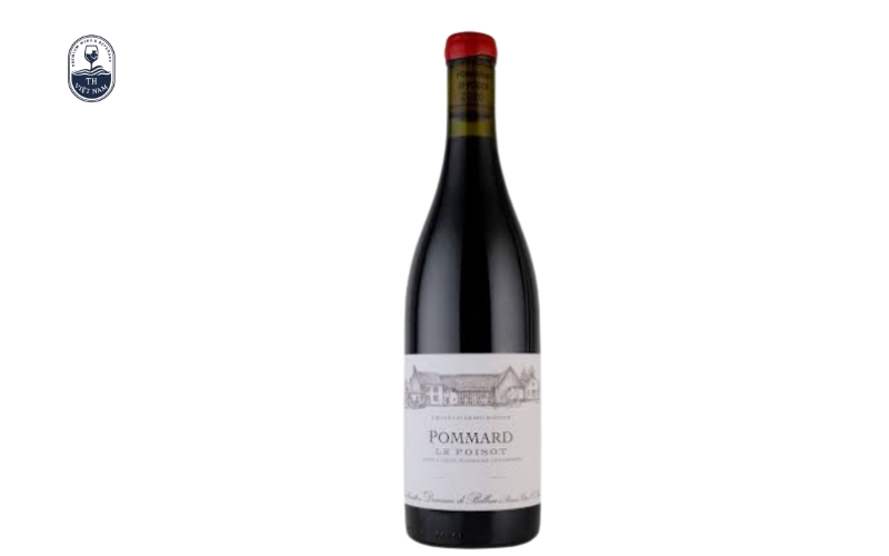 Top 10+ chai rượu vang Pinot Noir đáng thử nhất