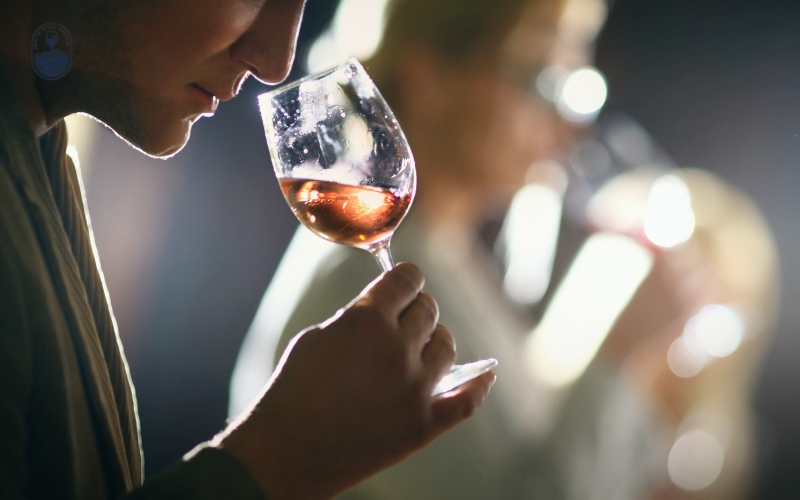 &nbsp;6+ Cách xem hạn sử dụng của rượu vang mà người mới hay bỏ qua