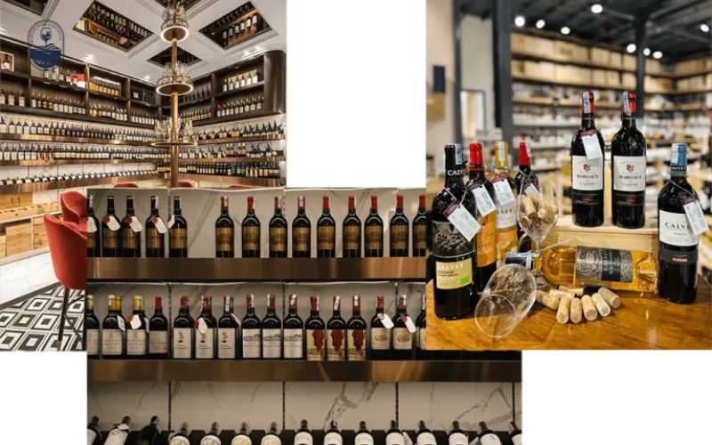 Top 10+ Cửa hàng bán rượu vang Chile tại Hà Nội nhập khẩu chính hãng