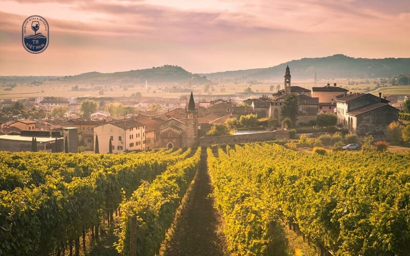 Indicazione Geografica Tipica (IGT) – Vang vùng đặc trưng