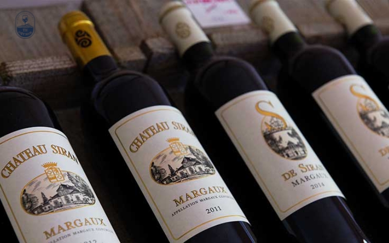 Top 10+ chai rượu vang biếu sếp được lựa chọn nhiều nhất dịp tết