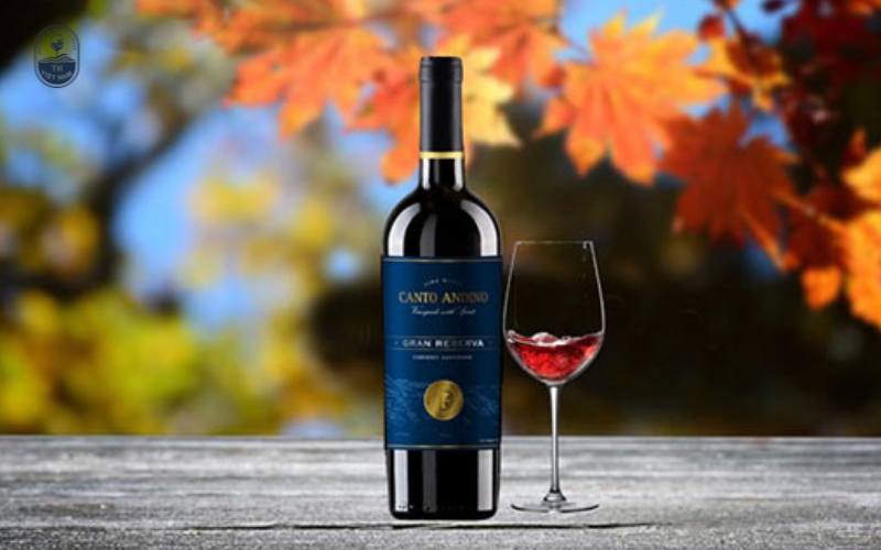 21+ Chai rượu vang ngon giá dưới 500k được yêu thích nhất năm 2025