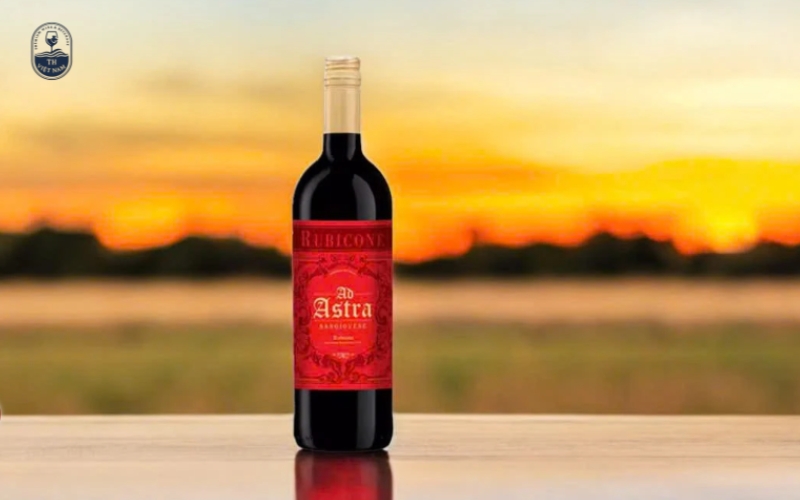 21+ Chai rượu vang ngon giá dưới 500k được yêu thích nhất năm 2025