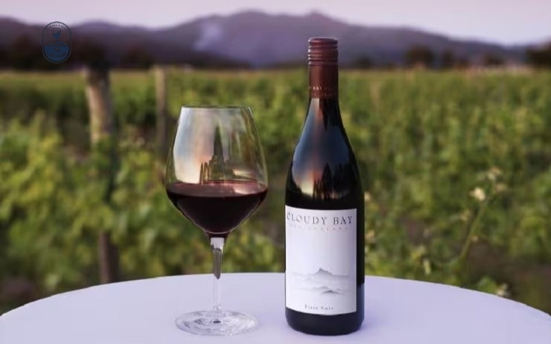 Kích thước chai rượu vang có ý nghĩa gì?