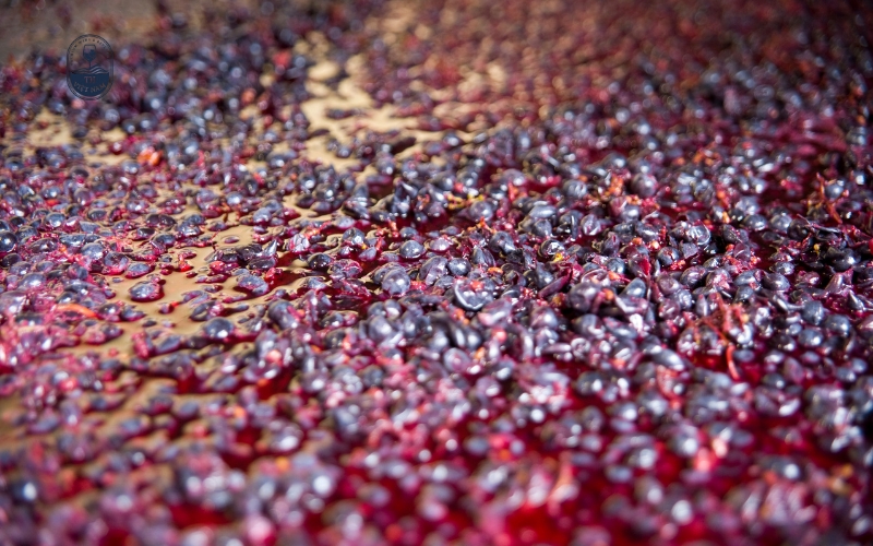 Vị ngọt trong rượu vang đến từ đâu?