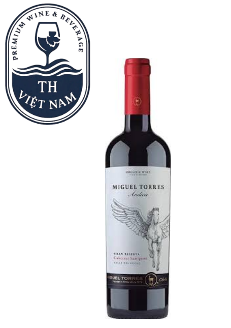 Miguel Torres Andica Gran Reserva Cabernet Sauvignon Itata Valley