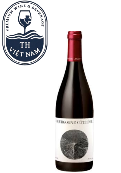 Louis Jadot Bourgogne Cote d'Or