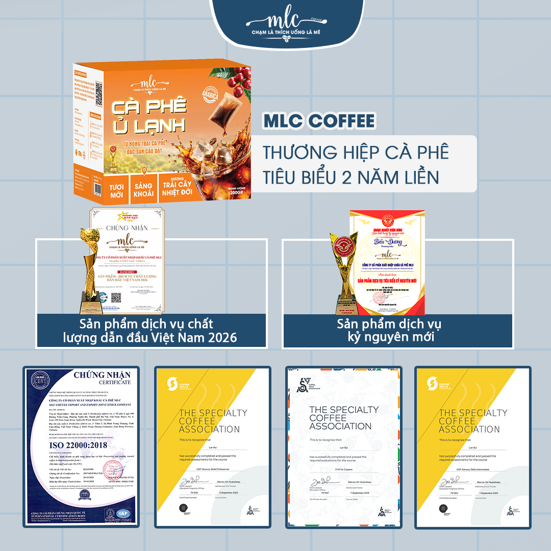 Cà Phê ủ lạnh Cold Brew 100% Arabica Đặc Sản