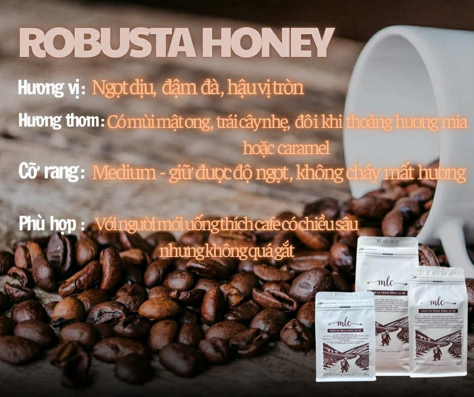 Cà phê Robusta Honey từ MLC Coffee nguyên chất, rang mộc, nhà trồng, nhà rang, nhà làm, chạm là thích uống là mê