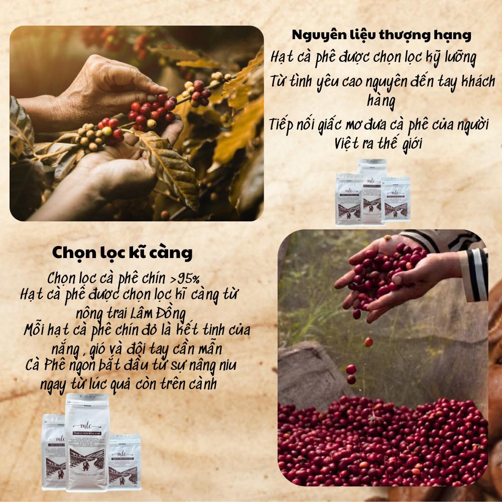 Cà phê Robusta Honey từ MLC Coffee nguyên chất, rang mộc, nhà trồng, nhà rang, nhà làm, chạm là thích uống là mê