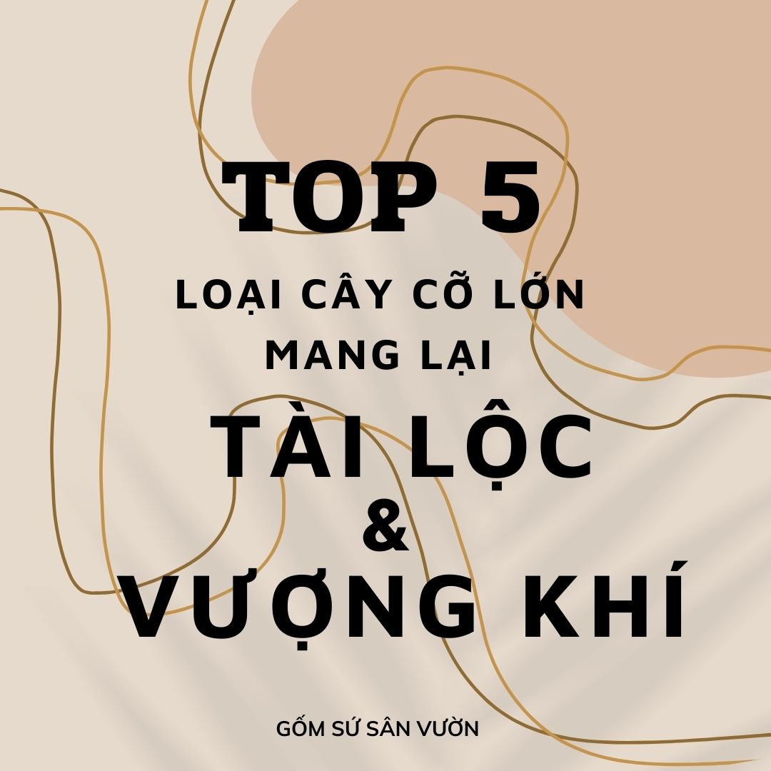 TOP 5 LOẠI CÂY LỚN MANG LẠI TÀI LỘC VÀ VƯỢNG KHÍ