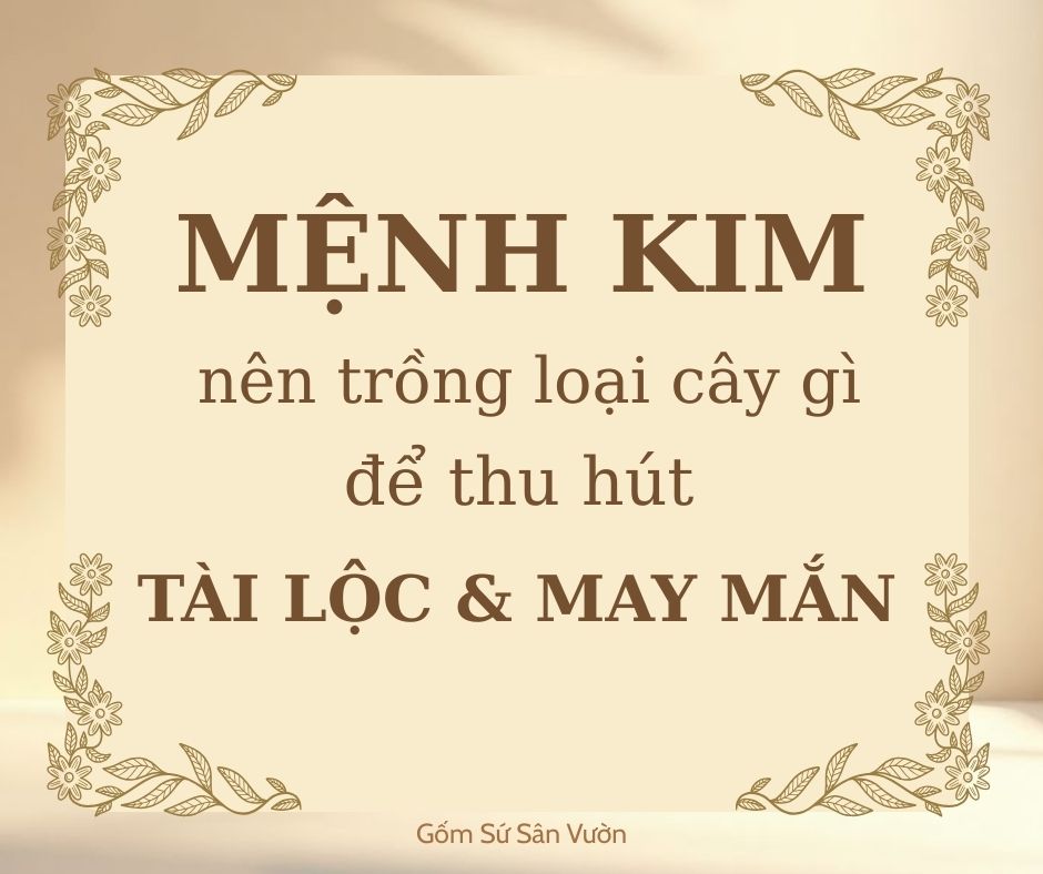 NHỮNG LOẠI CÂY MANG LẠI TÀI LỘC VÀ MAY MẮN CHO NGƯỜI MỆNH KIM