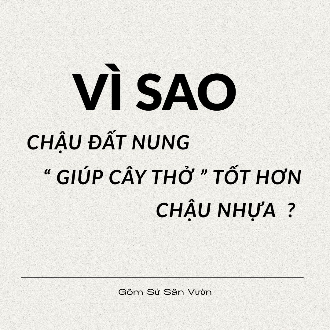 VÌ SAO CHẬU ĐẤT NUNG GIÚP CÂY THỞ TỐT HƠN CHẬU NHỰA?