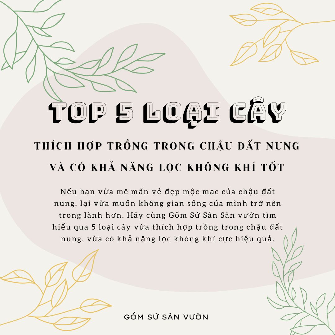 TOP 5 LOẠI CÂY CÓ KHẢ NĂNG LỌC KHÔNG KHÍ TỐT NHẤT