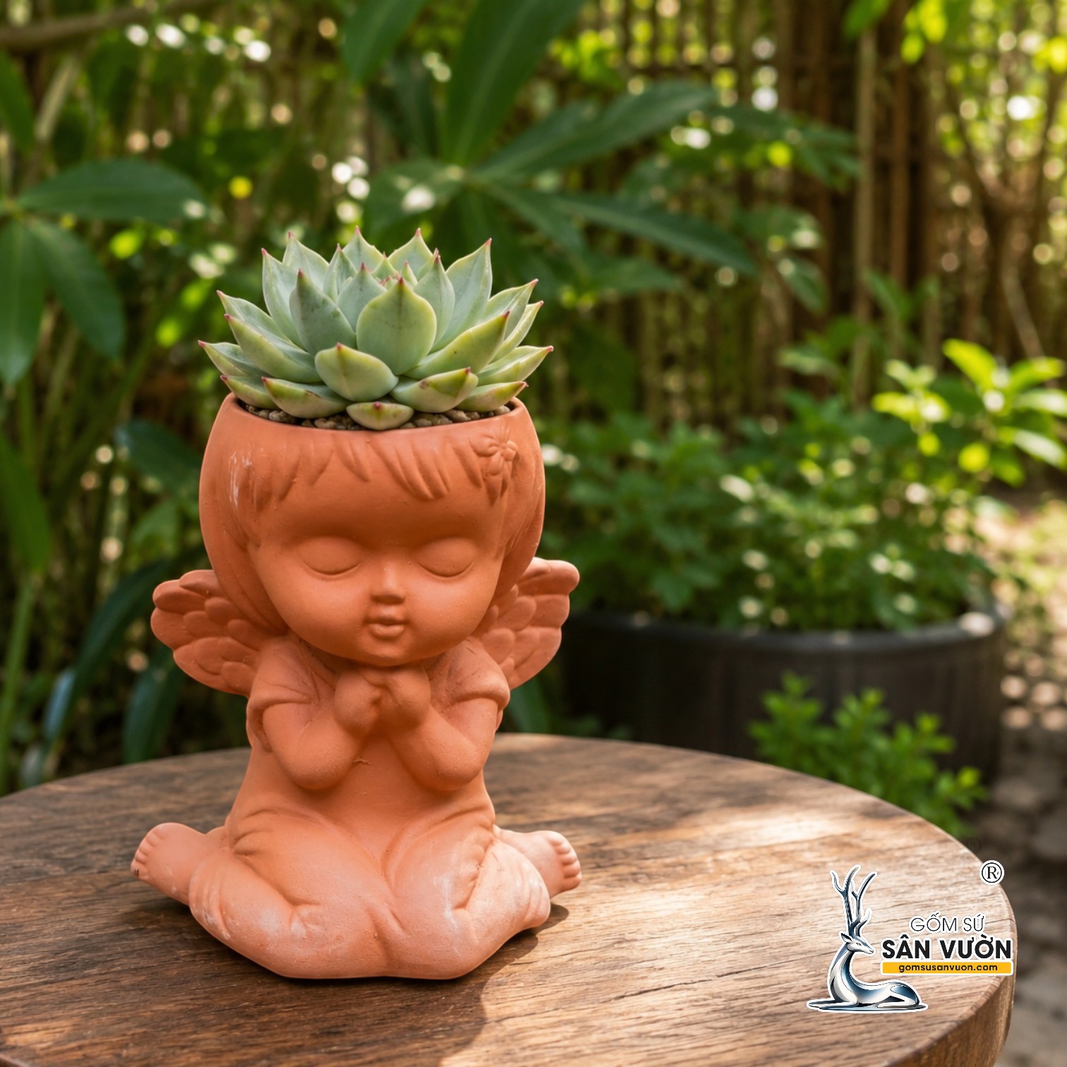 VÌ SAO SEN ĐÁ CẦN CHẬU ĐẤT NUNG?