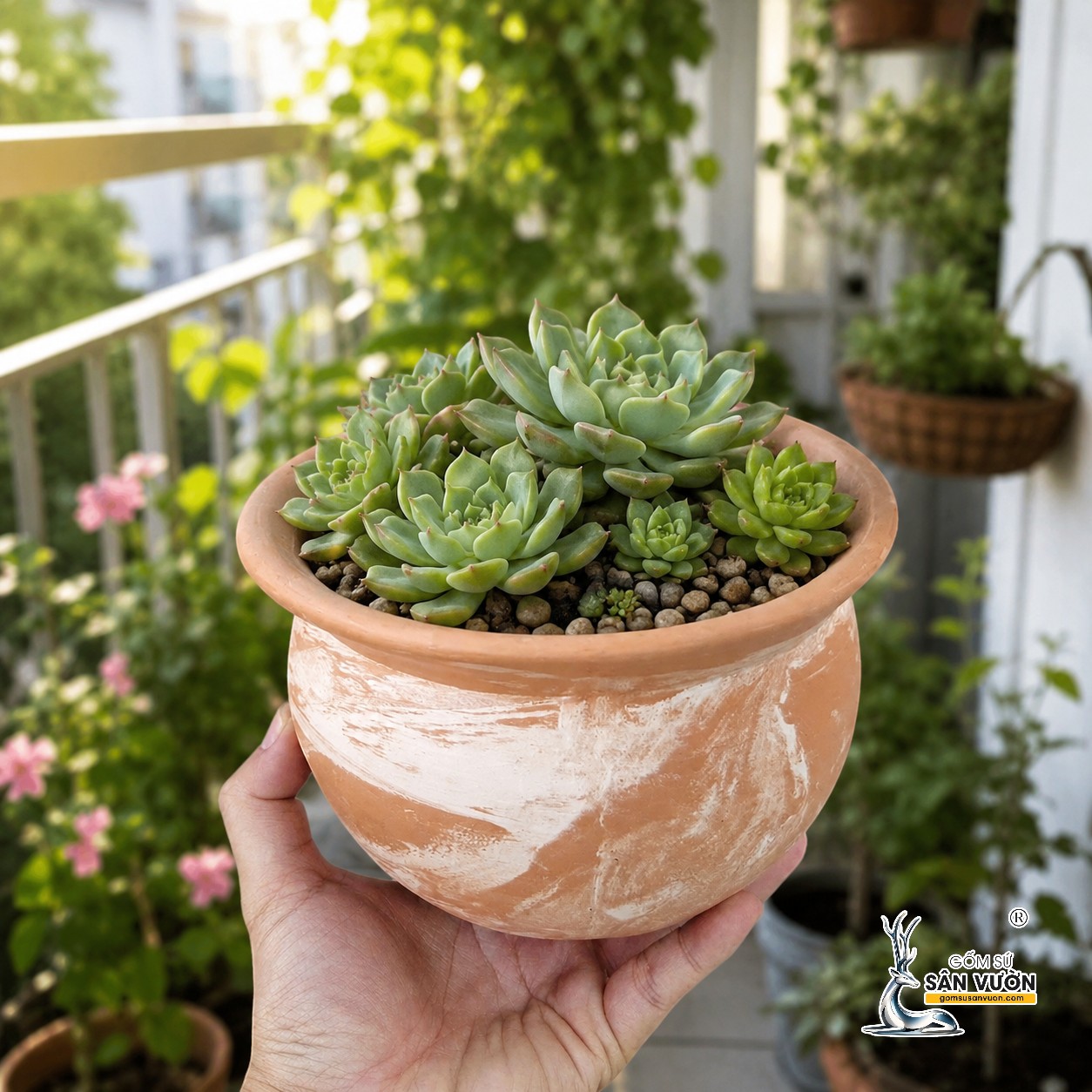 SỰ ĐA DẠNG CỦA CHẬU GỐM ĐẤT NUNG TRONG NGHỀ THỦ CÔNG MỸ NGHỆ TRUYỀN THỐNG