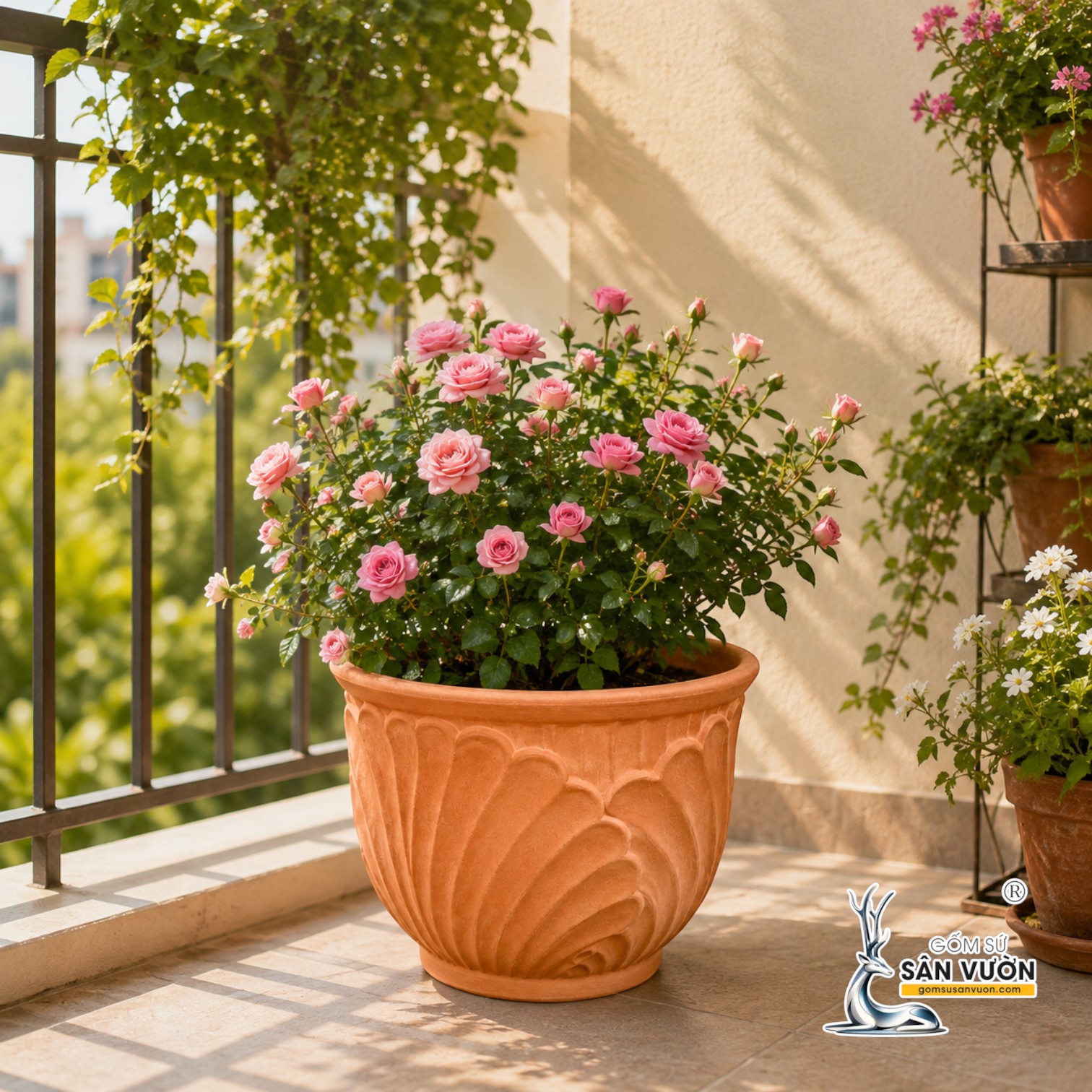 KHI NÀO NÊN THAY CHẬU CHO CÂY? DẤU HIỆU NHẬN BIẾT VÀ CÁCH THAY CHẬU ĐÚNG CÁCH