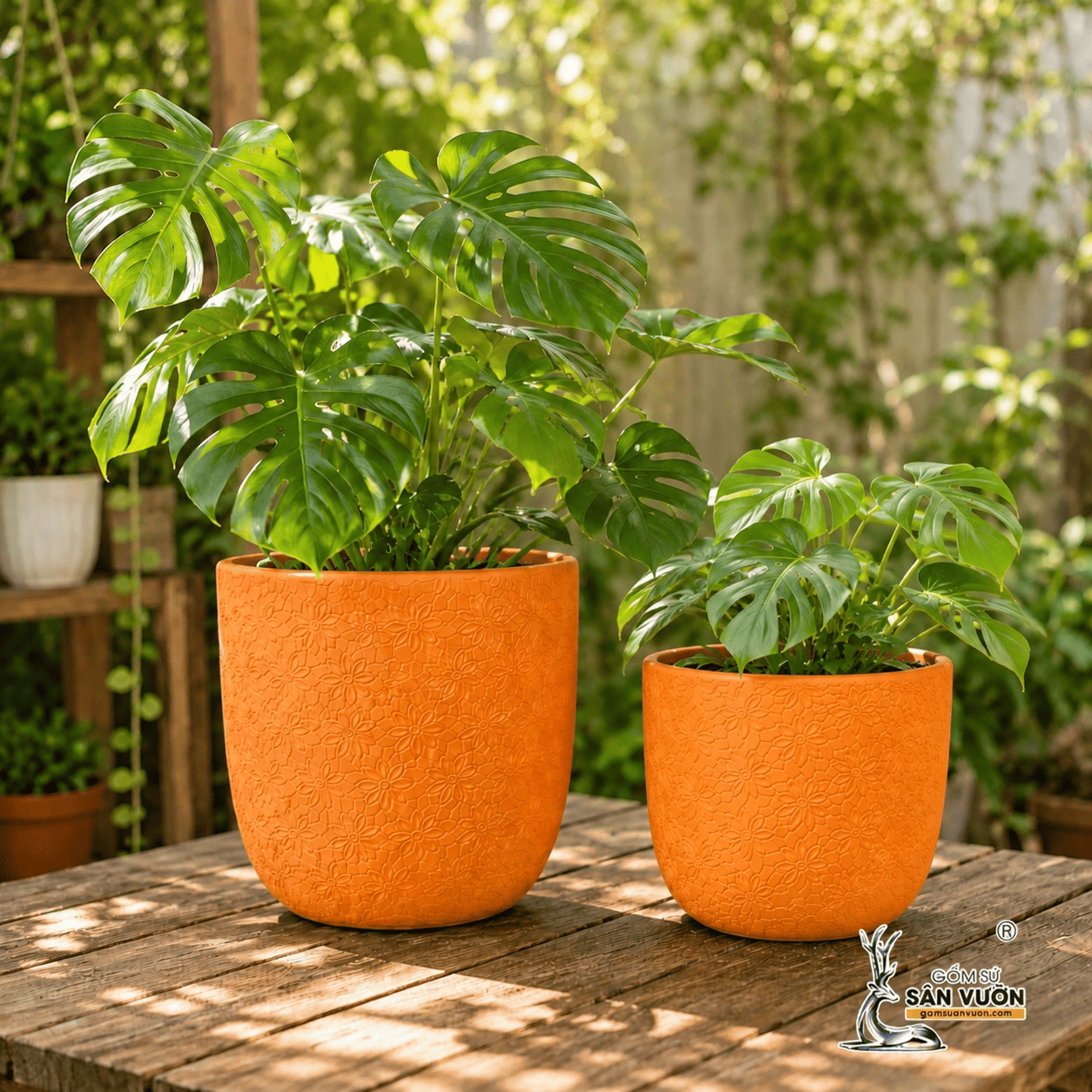 LỰA CHỌN CHẬU CÂY PHÙ HỢP VỚI KHÔNG GIAN CỦA BẠN