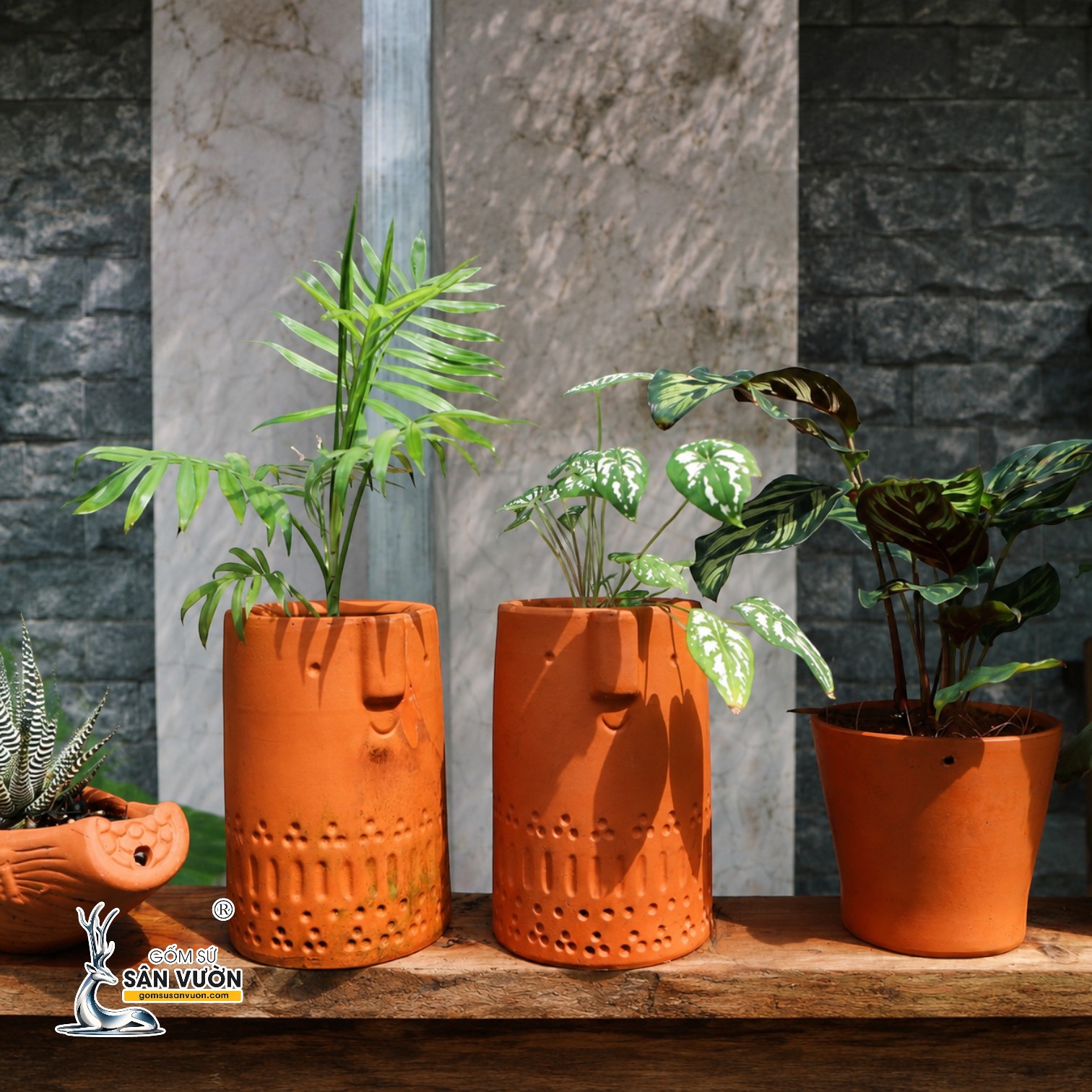 4 LƯU Ý KHI SỬ DỤNG CHẬU ĐẤT NUNG ĐỂ TRỒNG CÂY