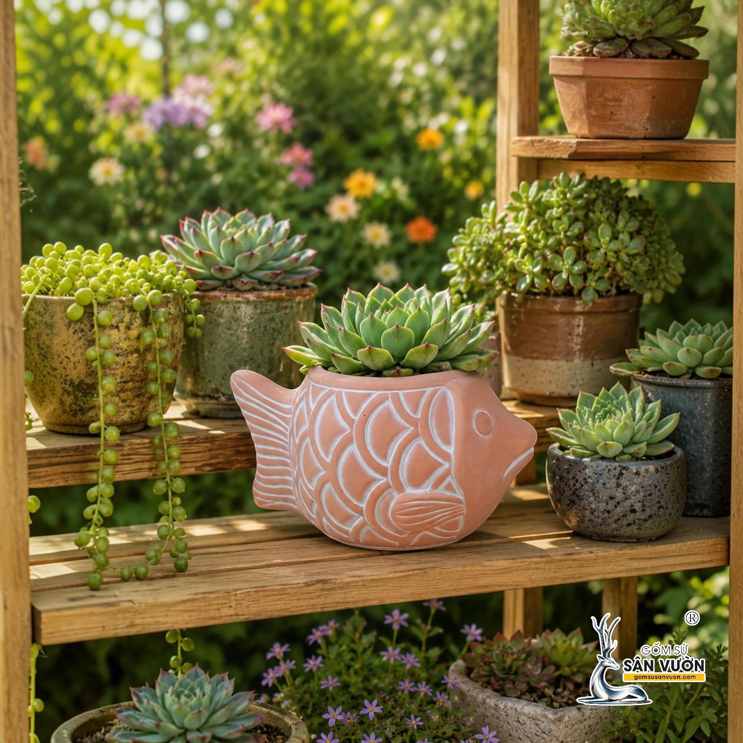 TẤT TẦN TẬT VỀ CHẬU GỐM ĐẤT NUNG: CHỌN ĐÚNG - DÙNG BỀN - DECOR ĐẸP