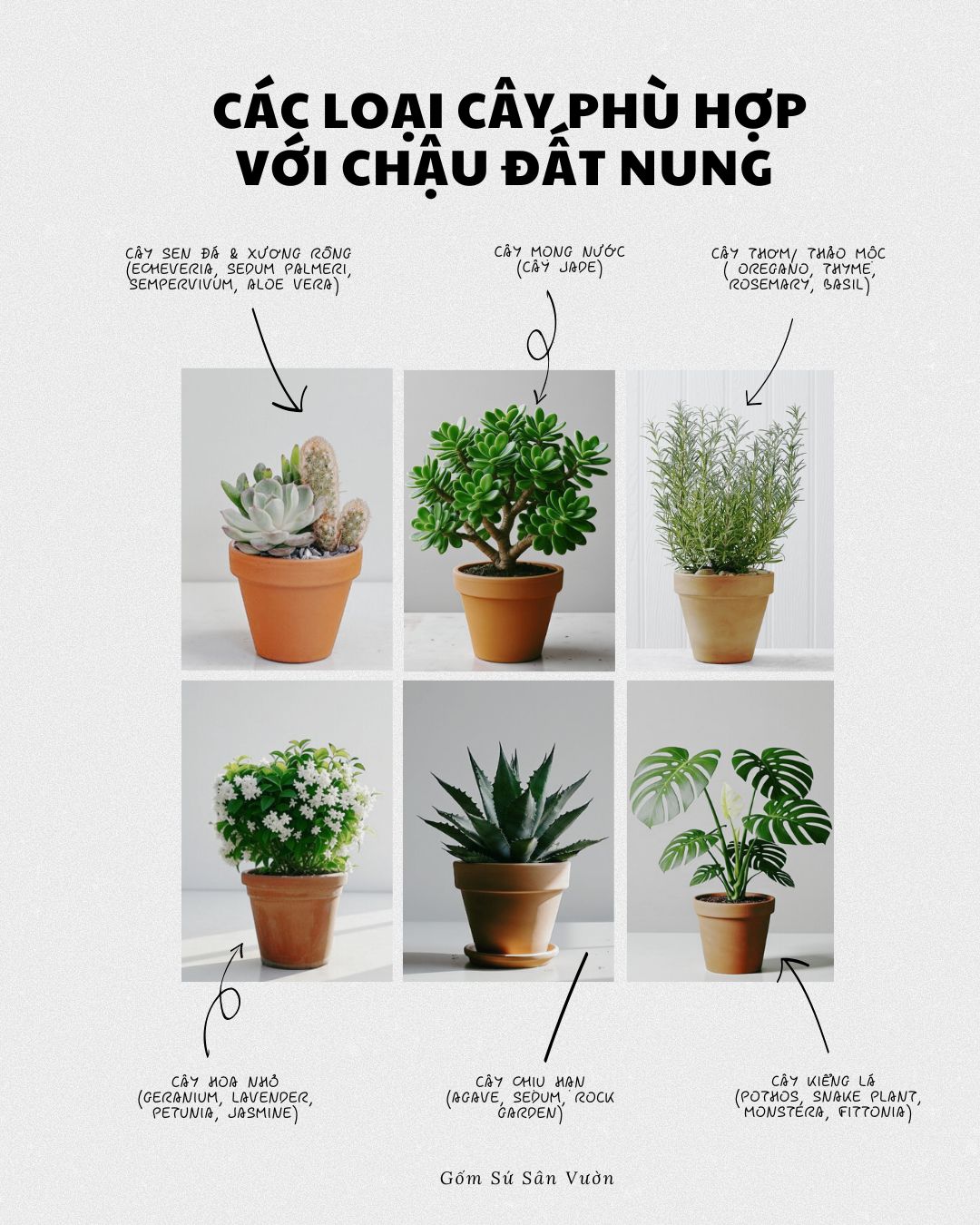 CÁC LOẠI CÂY PHÙ HỢP VỚI CHẬU ĐẤT NUNG