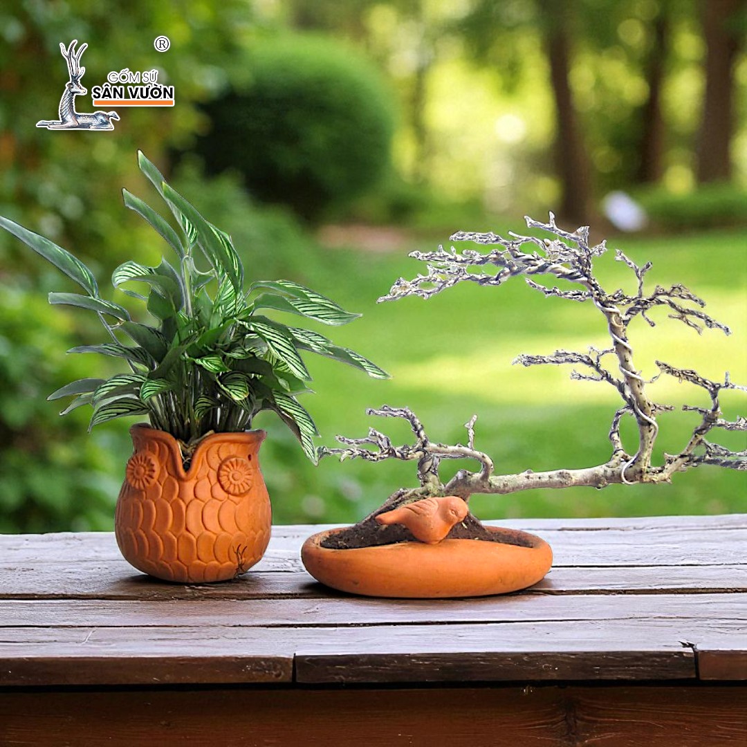 Chậu Gốm Đất Nung Và Cây Cảnh: Sự Kết Hợp Truyền Thống Và Thiên Nhiên