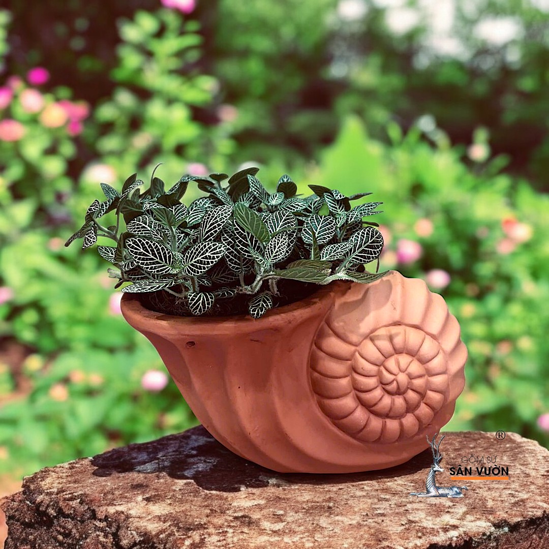 Decor Gốm Đất Nung: Sự Giao Thoa Giữa Nghệ Thuật Truyền Thống và Phong Cách Hiện Đại