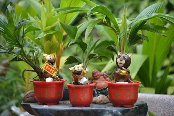 Trang trí sân vườn đầy sáng tạo với chậu con thú và hình người