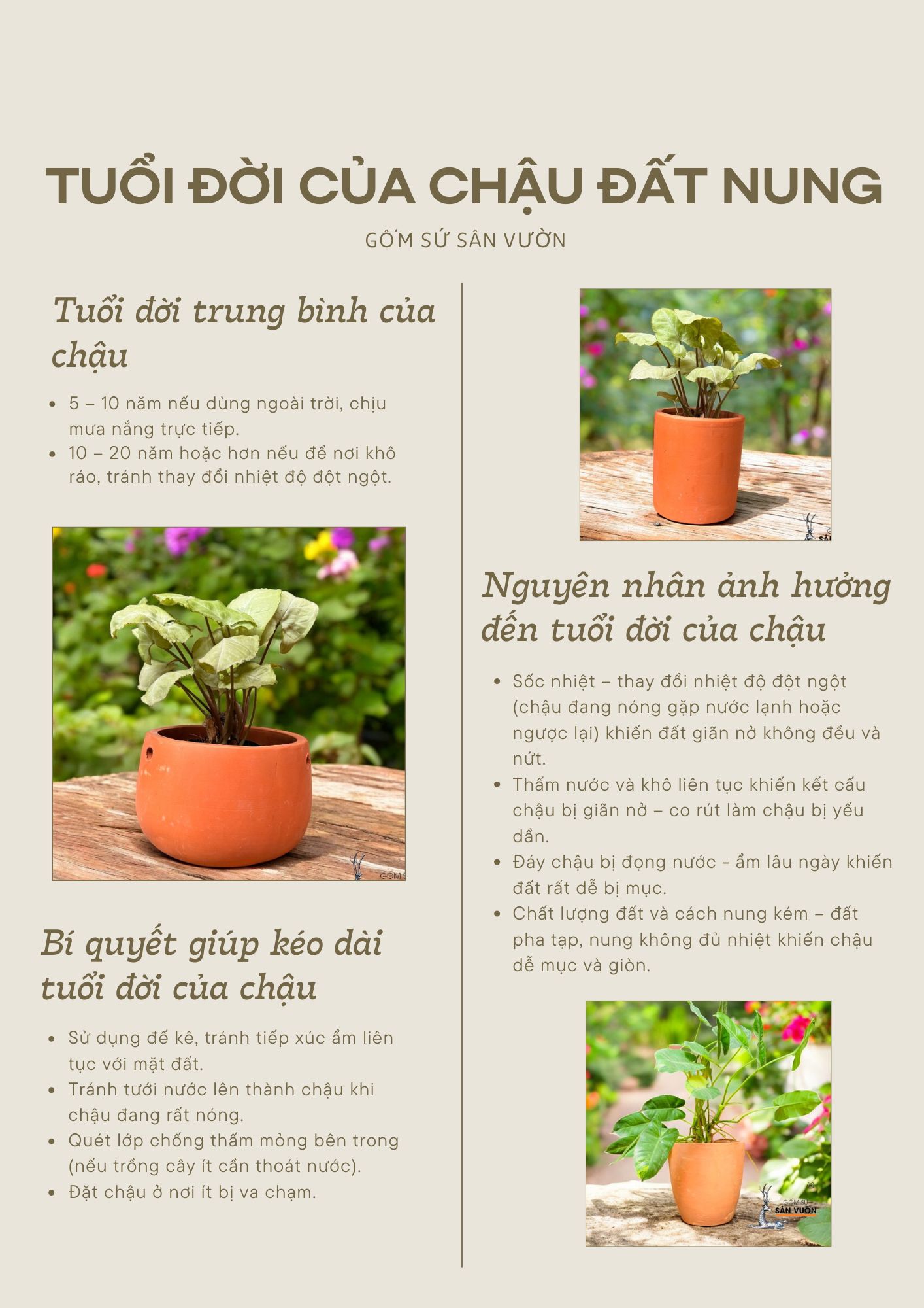 TUỔI ĐỜI TRUNG BÌNH CỦA CHẬU ĐẤT NUNG