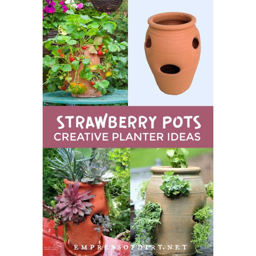 Chậu Gốm Đất Nung Hình Túi Đứng Strawberry Pot - Gốm Sứ Sân Vườn