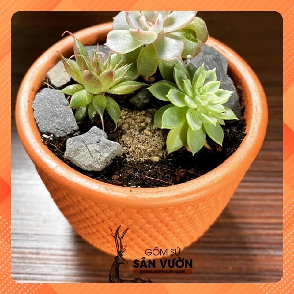 Chậu Gốm Đất Nung Dáng Trụ Tròn Vân Gạch - Gốm Sứ Sân Vườn - Trồng Sen Đá, Xương Rồng