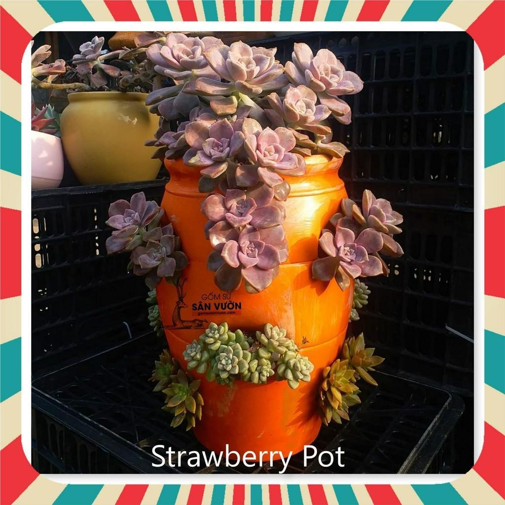 Chậu Gốm Đất Nung Hình Túi Đứng Strawberry Pot - Gốm Sứ Sân Vườn