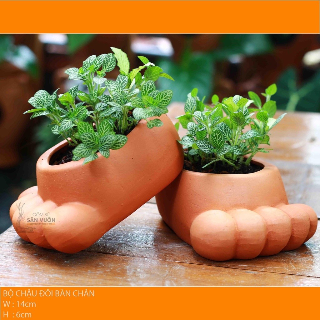 Chậu Gốm Đất Nung Hình Bàn Chân - Gốm Sứ Sân Vườn - Chậu Đất Nung Trồng Sen Đá