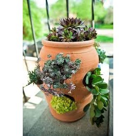 Chậu Gốm Đất Nung Hình Túi Đứng Strawberry Pot - Gốm Sứ Sân Vườn