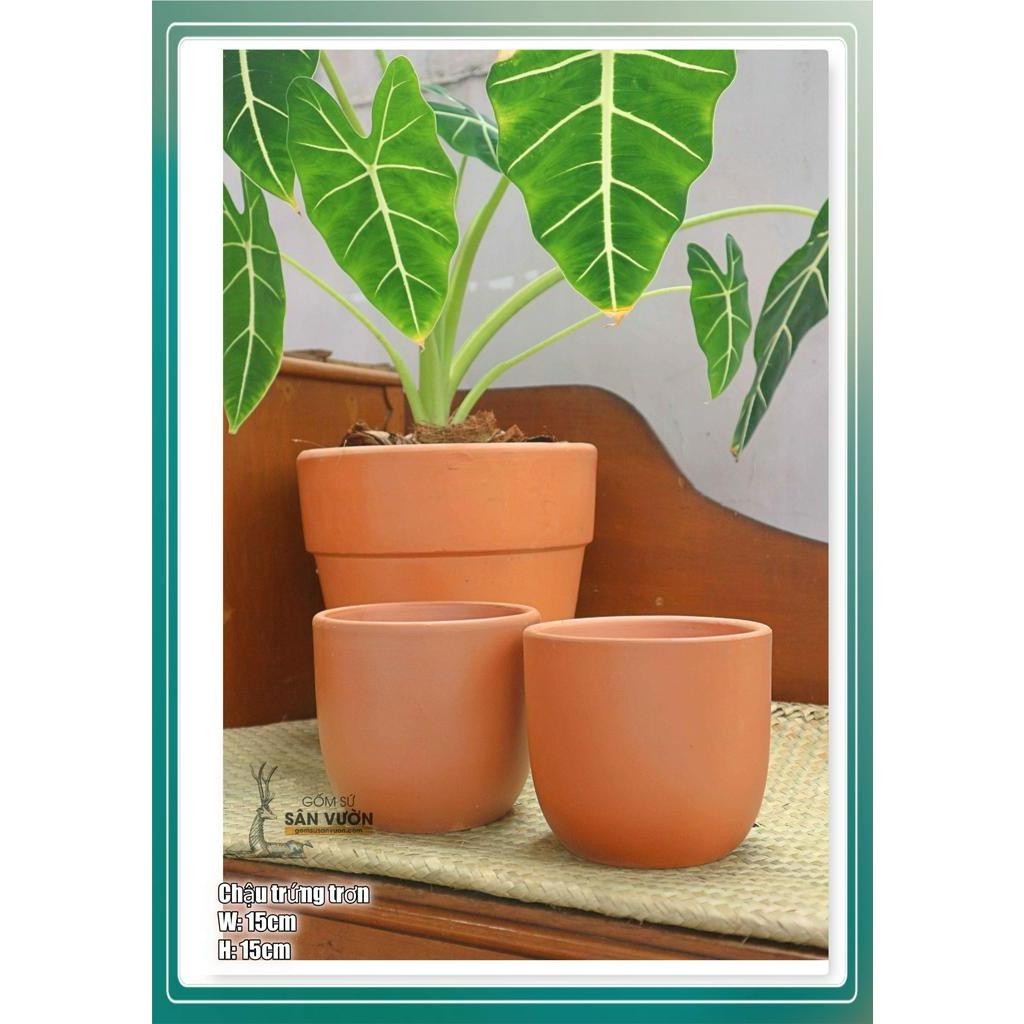 Chậu Gốm Đất Nung Dáng Trứng Trơn - Gốm Sứ Sân Vườn