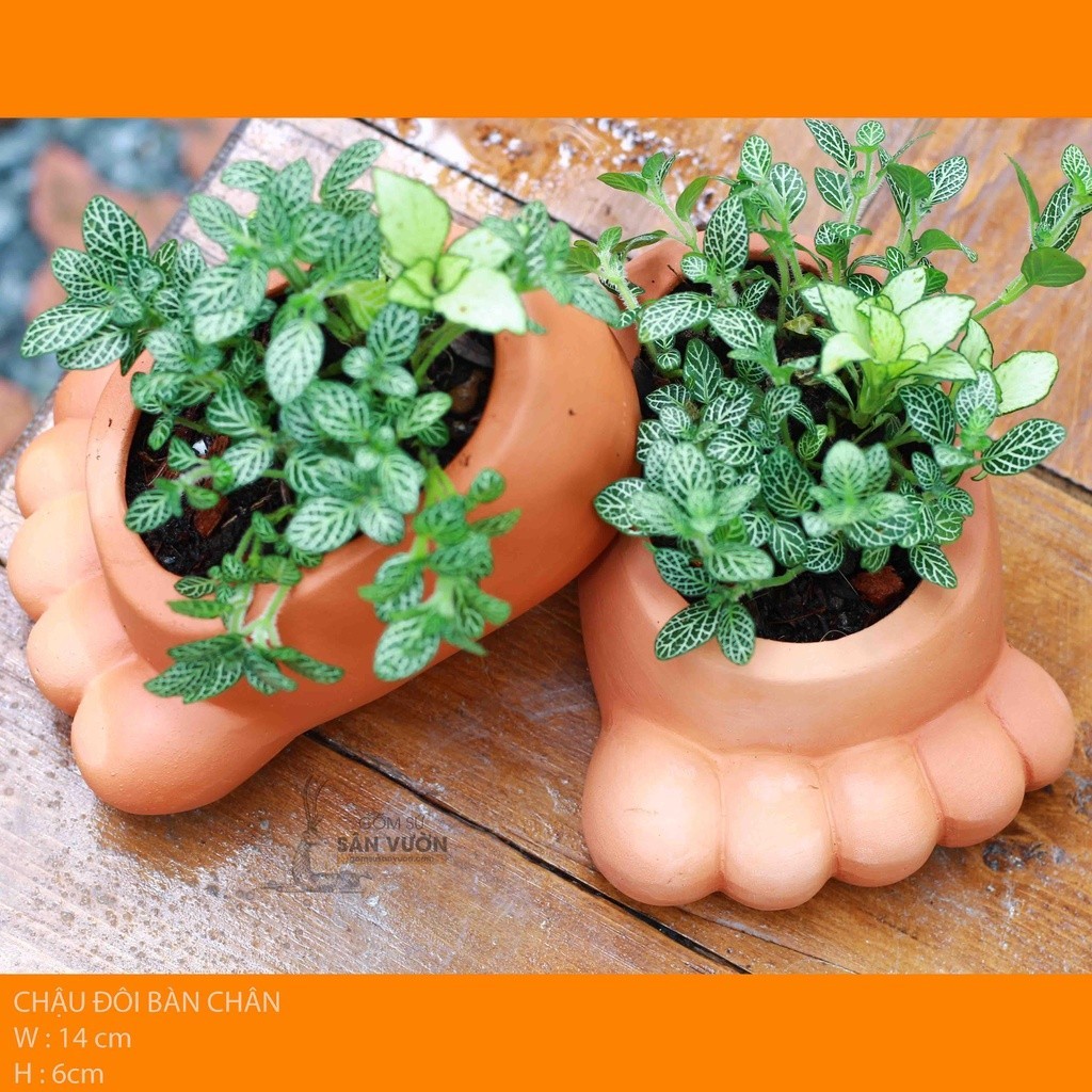 Chậu Gốm Đất Nung Hình Bàn Chân - Gốm Sứ Sân Vườn - Chậu Đất Nung Trồng Sen Đá
