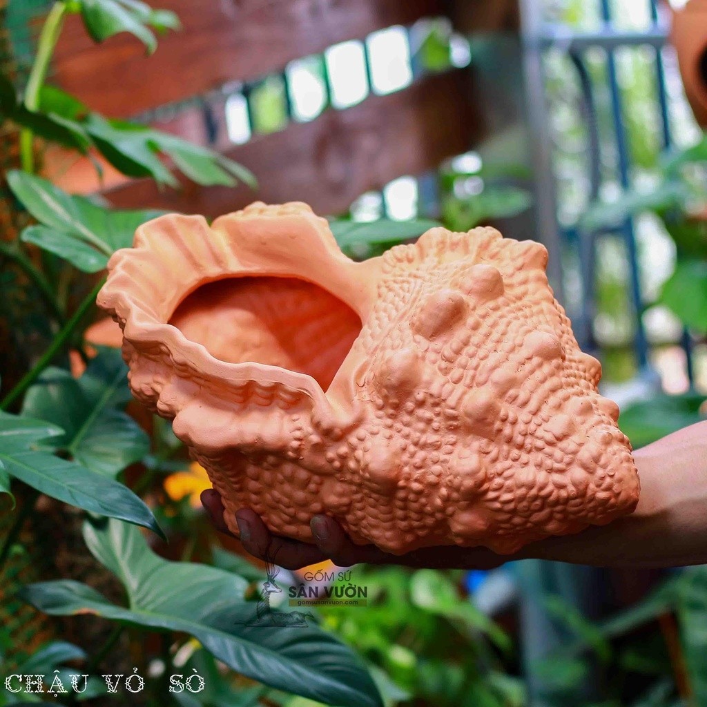 Chậu Gốm Đất Nung Hình Vỏ Ốc Nhọn - Gốm Sứ Sân Vườn - Trồng Sen Đá