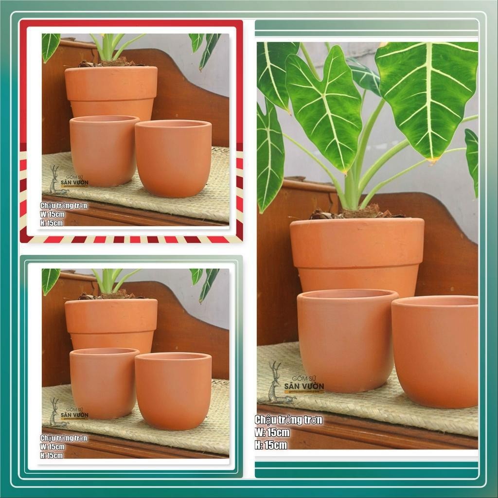 Chậu Gốm Đất Nung Dáng Trứng Trơn - Gốm Sứ Sân Vườn