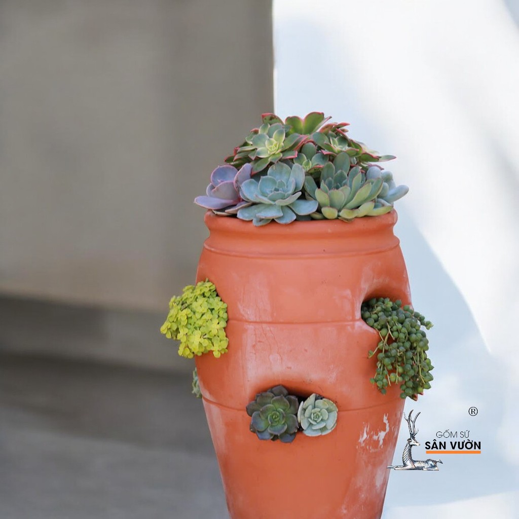 Chậu Gốm Đất Nung Hình Túi Đứng Strawberry Pot - Gốm Sứ Sân Vườn