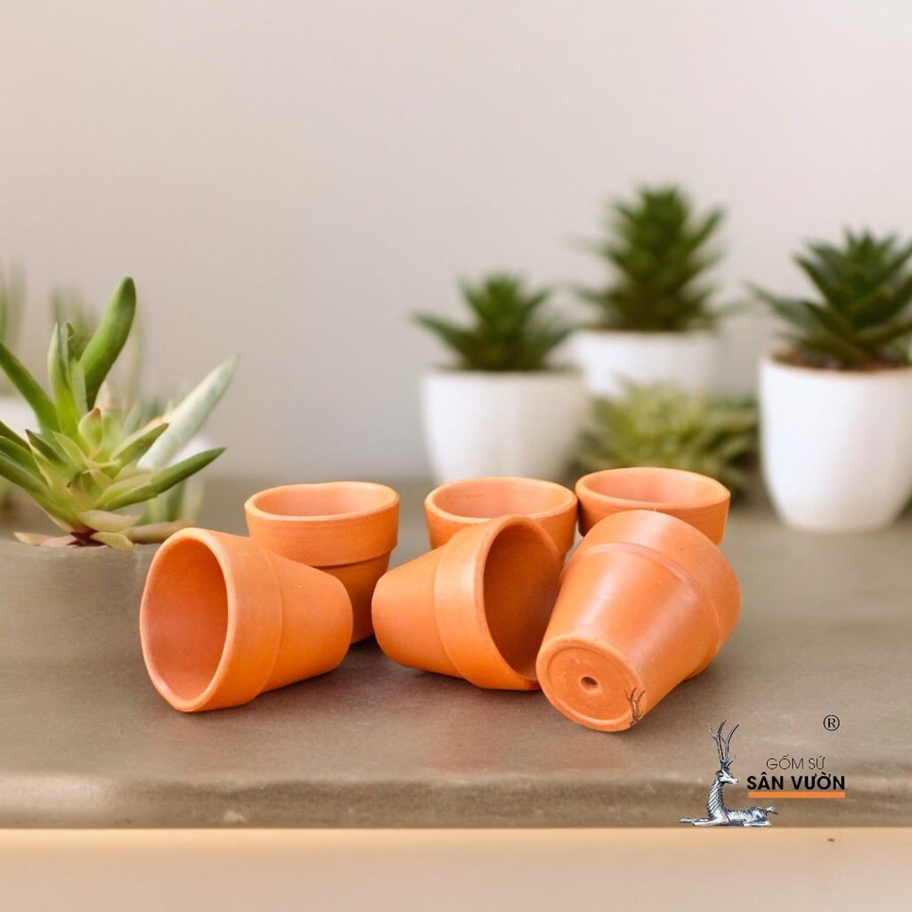 Combo 10 Chậu Gốm Đất Nung Ly Gờ Cao (Size Nhỏ) + Đĩa Lót - Gốm Sứ Sân Vườn